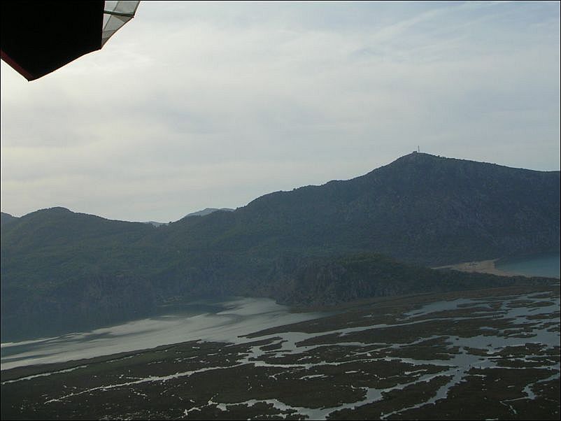 delta