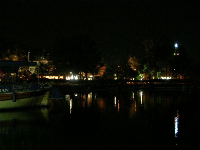 river at night