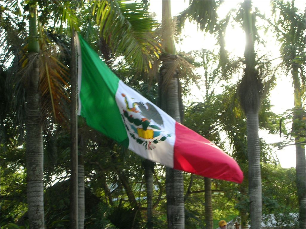 viva mexico