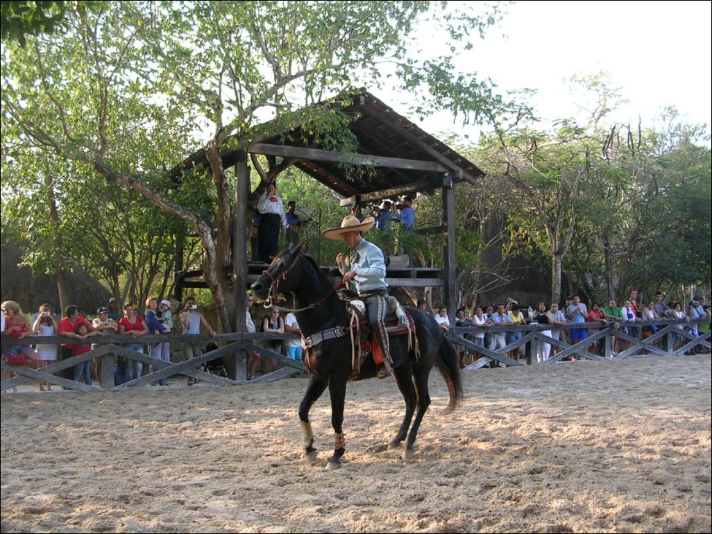 cowboy