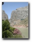 [Click to enlarge]