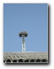 [Click to enlarge]
